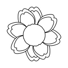 flower  vector illustration