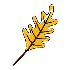 dry leaf icon image