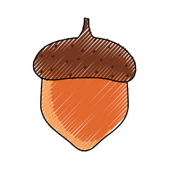 acorn icon image