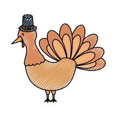 cartoon turkey icon