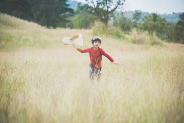 Naklejka na ściany i meble child playing cardboard airplane in the grass field
