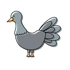 cartoon pigeon bird icon