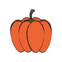 pumpkin icon image