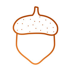 acorn icon image