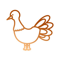 cartoon turkey icon