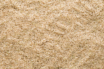 Vegetarian dinner table. Plate with black quinoa and oatmeal cutlets with prunes on white wooden table close up