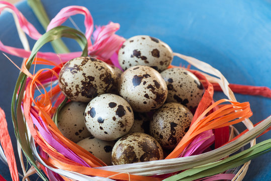 easter decoration with qail eggs