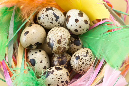easter decoration with qail eggs