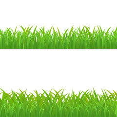 Green Grass Set, Vector Illustration