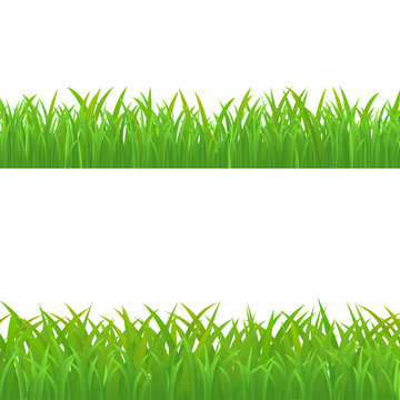 Green Grass Set, Vector Illustration