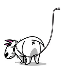 Cute vector cartoon dog. Angry white Bull Terrier tied with a leash.