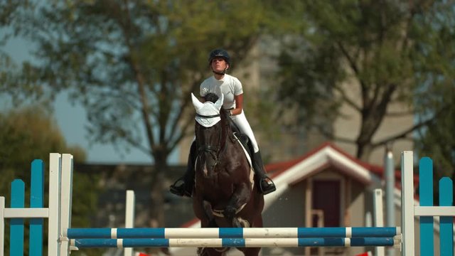 Horse jumping over obstacle in slow motion