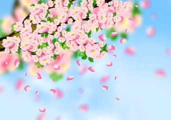 Spring background, flowers, spring