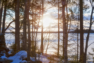 Fototapete bei efototapeten.de bestellen   