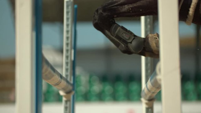 Horse leaping over obstacle in slow motion