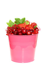 Berry season.bright pink bucket with berries of strawberries, blueberries, cherries, red currants isolated on white background. Harvest of berries. 