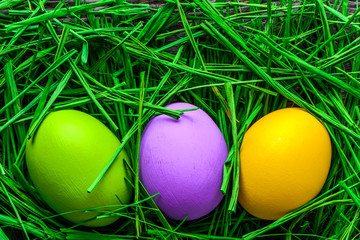 Easter eggs in grass, nest with eggs, background