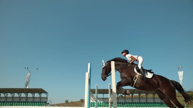 Horse leaping over obstacle in slow motion