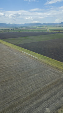 Country agricultural and farming field.