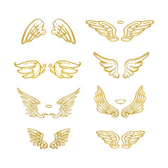 Hand Drawn Wings. Set of design elements. Vector illustration.