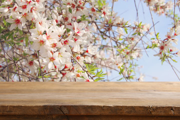 wooden rustic table in front of spring cherry blossoms tree. product display and picnic concept.