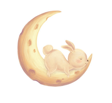 Rabbit Sleep On Moon