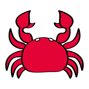 sea wild life crab marine animal image vector illustration