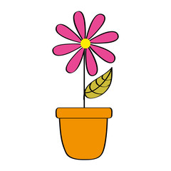 potted daisy flower petal leaves decoration vector illustration