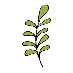 branch leaves plant natural botanical icon vector illustration