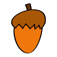 acorn nut fruit food natural icon vector illustration