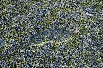 single human foot print in the frosty winter grass