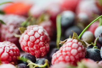 frozen berries closeup