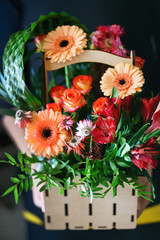 nice bouquet in the hands