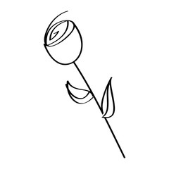 rose flower natural botanical stem leaves icon vector illustration outline design