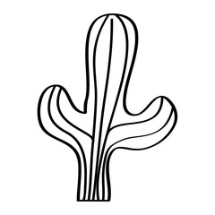 cactus desert plant decorative natural vector illustration outline design