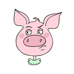 Obraz na płótnie Canvas The cute pig has an expression of contempt