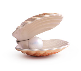 Pearl inside seashell isolated on white background 3d rendering