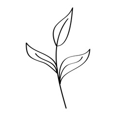 branch leaves plant natural botanical icon vector illustration outline design