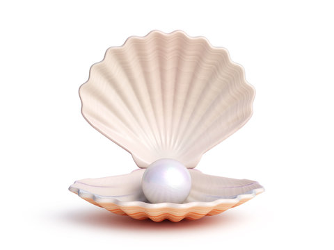 Pearl inside seashell isolated on white background 3d rendering