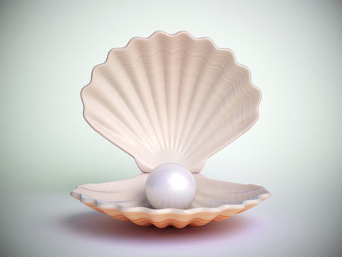 Pearl inside seashell isolated on white background 3d rendering