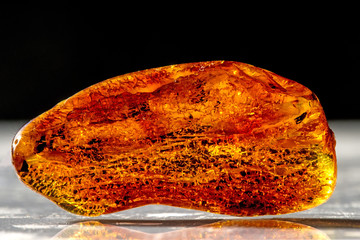 Amber in sun with inclusions