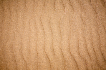 Background texture of sand dune. Nature background