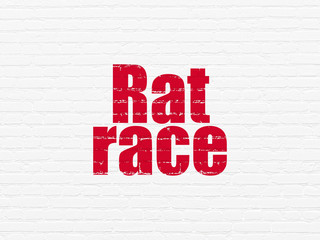 Finance concept: Painted red text Rat Race on White Brick wall background