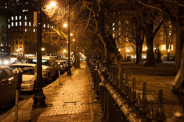 Fototapeta na wymiar Night in Boston Central Park