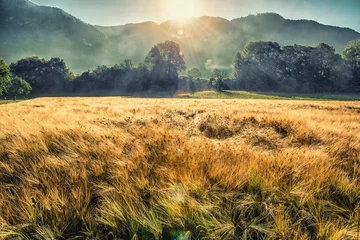 Abwaschbare Fototapete Land Wildes Grasfeld im Bergtal