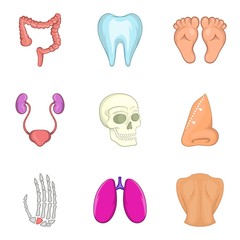 Organism icons set, cartoon style