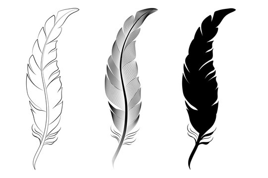 22900 Feather Tattoo Illustrations RoyaltyFree Vector Graphics  Clip  Art  iStock  Single feather Bow tattoo Moon tattoo