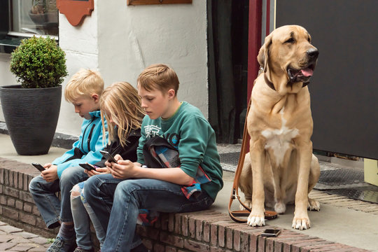 Onlinesucht - Spielsucht, drei Teenager spielen am Smartphone anstelle mit dem Hund spazieren zu gehen