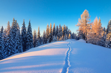 Trail on snow high in the Carpathian mountains