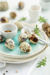 Close up of quail eggs